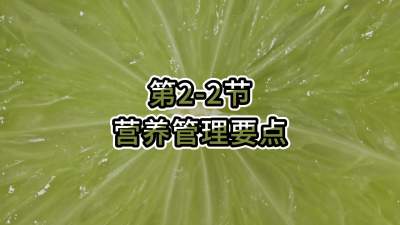 2-2-ӪҪ