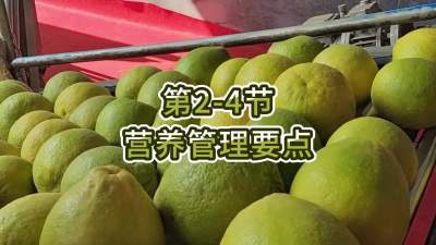 2-4-ӪҪ