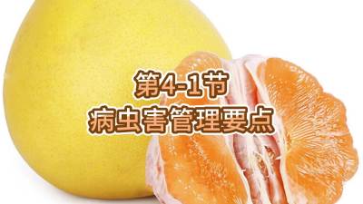 4-1-溦Ҫ
