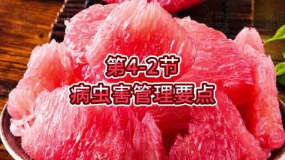 4-2-溦Ҫ