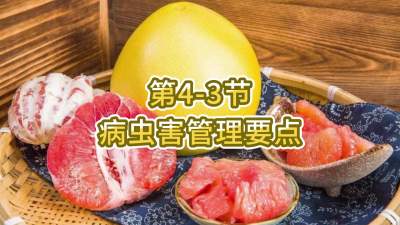 4-3-溦Ҫ