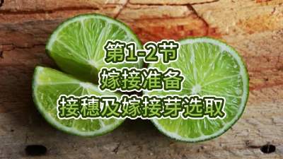 1-2-޽׼-뼰޽ѿѡȡ