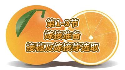 1-3-޽׼-뼰޽ѿѡȡ