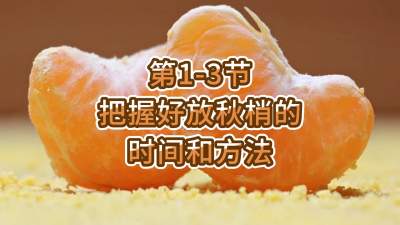 1-3-պ÷ҵʱҪ