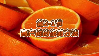 2-1-߲޼Ҫ