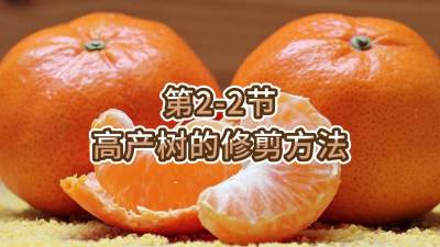 2-2-߲޼Ҫ