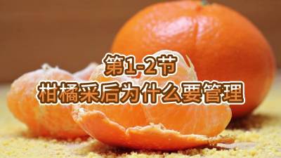1-2-ٲɺΪʲôҪ