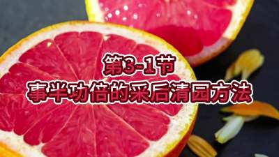 3-1-°빦Ĳɺ԰Ҫ