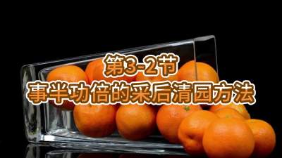 3-2-°빦Ĳɺ԰Ҫ