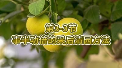 3-3-°빦Ĳɺ԰Ҫ