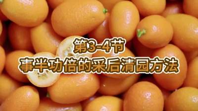 3-4-°빦Ĳɺ԰Ҫ