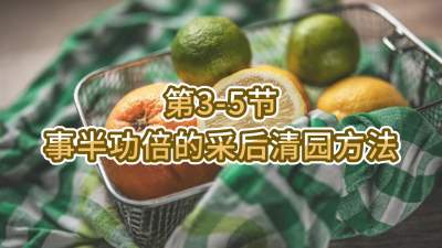 3-5-°빦Ĳɺ԰Ҫ