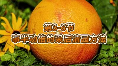 3-6-°빦Ĳɺ԰Ҫ