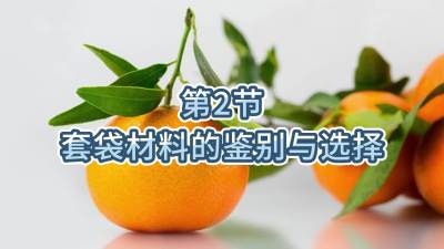 2-״ϵбѡ