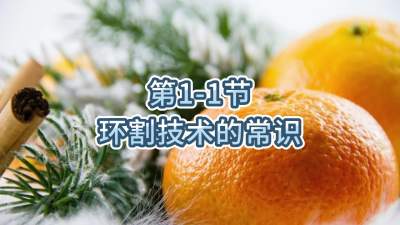 1-1-յ֪ʶ