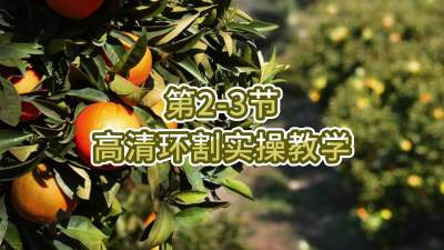 2-3-廷ʵٽѧ
