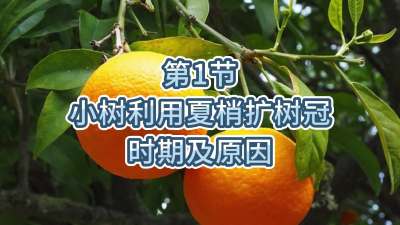 1-СʹʱڼԵԭ