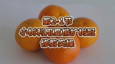 2-1-Сʹ޼ʵ