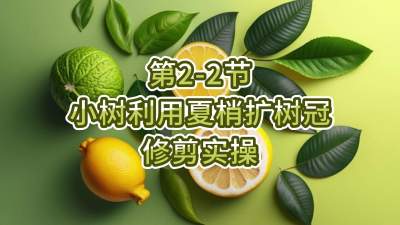 2-2-Сʹ޼ʵ