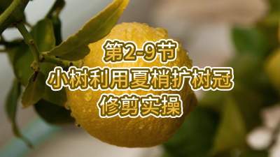 2-9-Сʹ޼ʵ