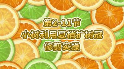 2-11-Сʹ޼ʵ