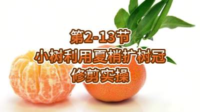 2-13-Сʹ޼ʵ