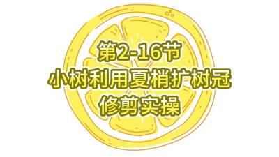 2-16-Сʹ޼ʵ