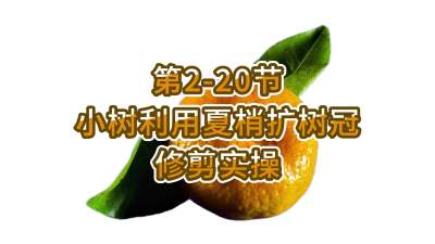 2-20-Сʹ޼ʵ