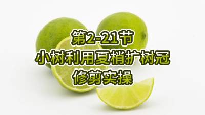 2-21-Сʹ޼ʵ