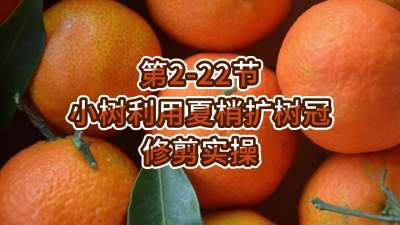 2-22-Сʹ޼ʵ
