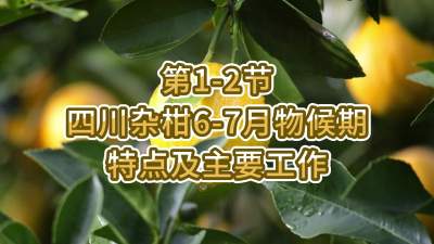 1-2-ĴӸ6-7ص㼰Ҫ