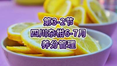 3-2-ĴӸ6-7ֵ
