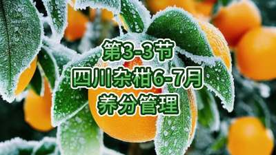 3-3-ĴӸ6-7ֵ