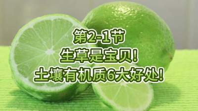 2-1-Ƿл6棡
