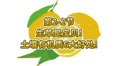 2-2-Ƿл6棡