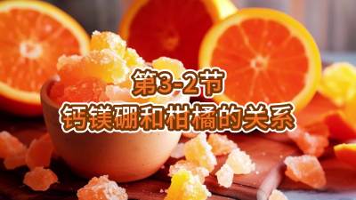 第3-2节-钙镁硼和柑橘的关系