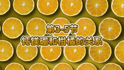 第3-5节-钙镁硼和柑橘的关系