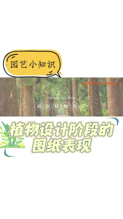 ֲƽ׶εͼֽ