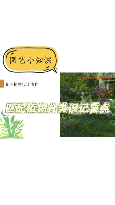 匹配植物分类识记要点