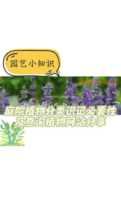 庭院植物分类识记须要性及盘问植物网站分享