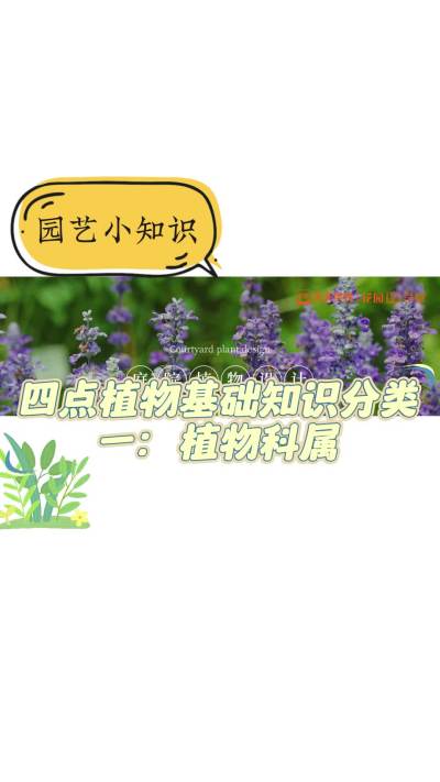 庭院植物四点植物基础知识分类一：植物科属