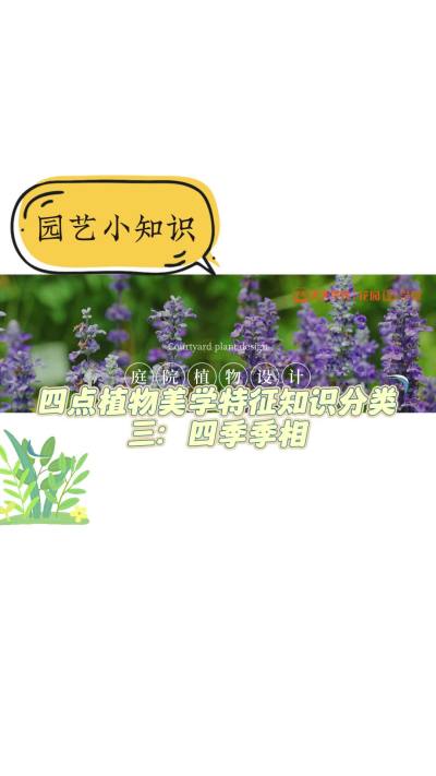 四点植物美学特征知识分类三：四序季相