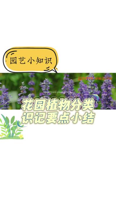 花园植物分类识记要点小结