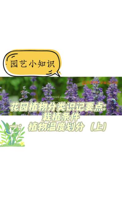 花园植物分类识记要点：栽植条件一：植物温度划分（上）