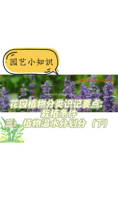 ԰ֲʶҪ㣺ֲֲˮֻ֣£