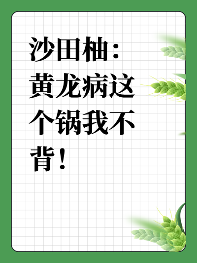 ɳ֣Ҳ