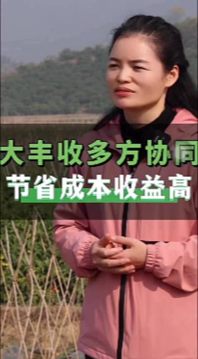 天天学农&大丰收品牌联盟店招募
0经验开农资店，上天天学农&大丰收，品牌方为我们解决品牌资质/货源/技术/客流/数字化工具五大难题！