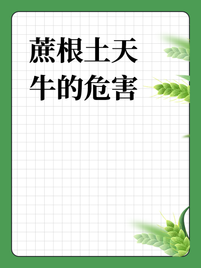 �������ţ��Σ��