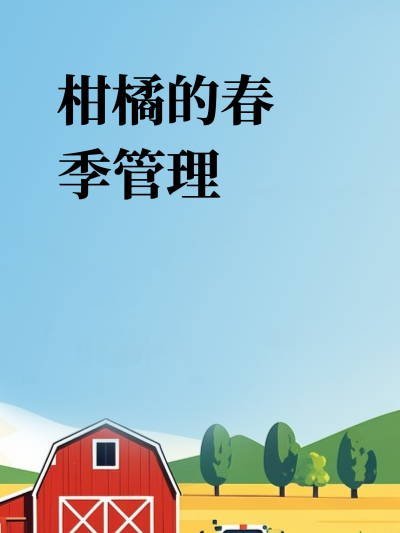 ���ٵĴ�������