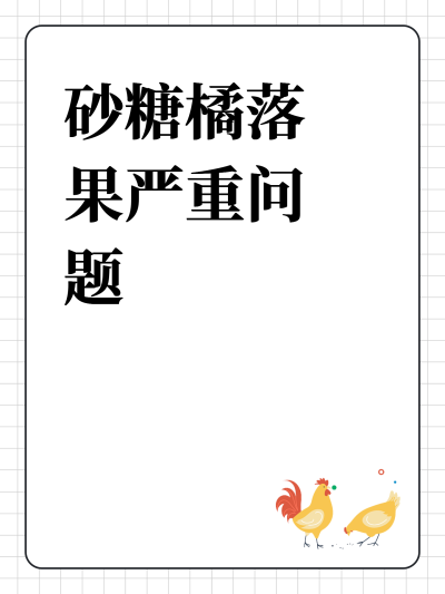 ɰ���������������